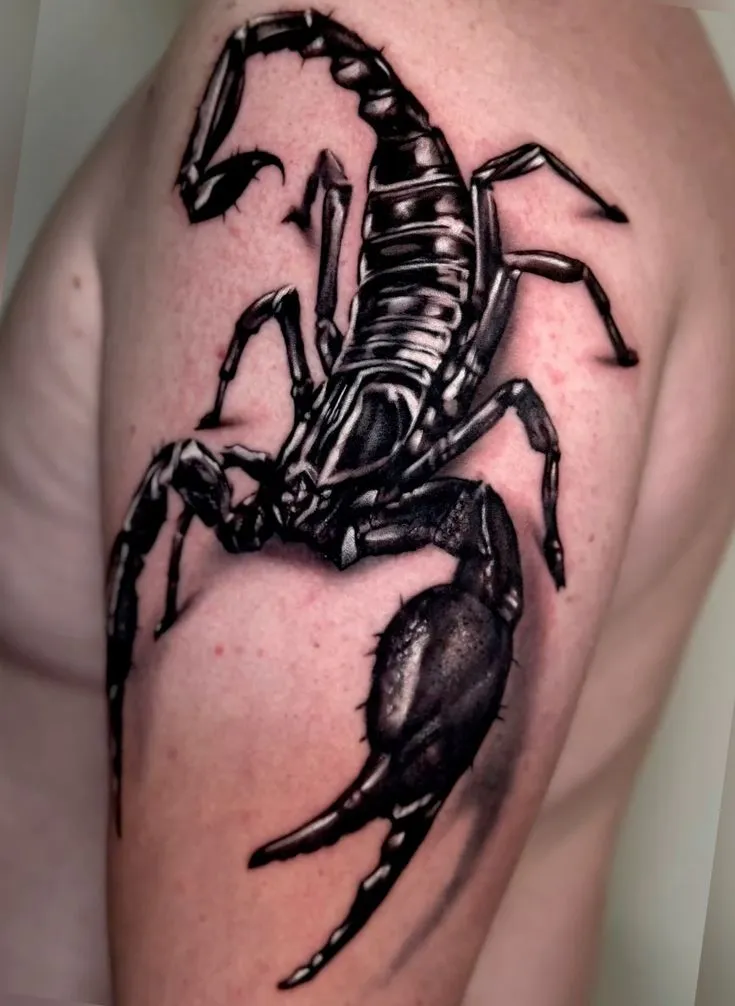 19 Scorpion Tattoo You’ll Absolutely Love