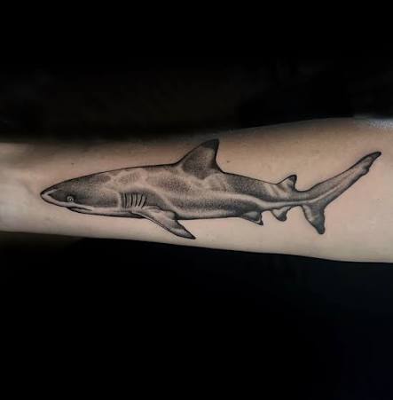 24 Shark Tattoo Everyone Is Obsessed With Right Now