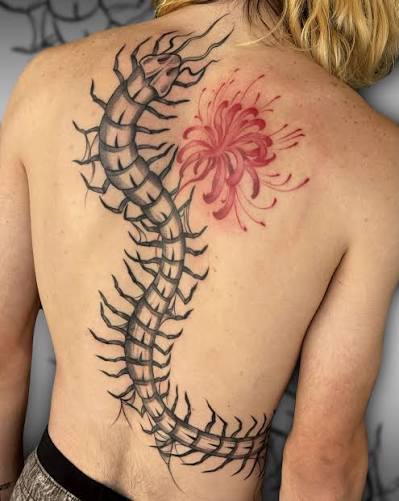 19 Centipede Tattoo You’ll Absolutely Love