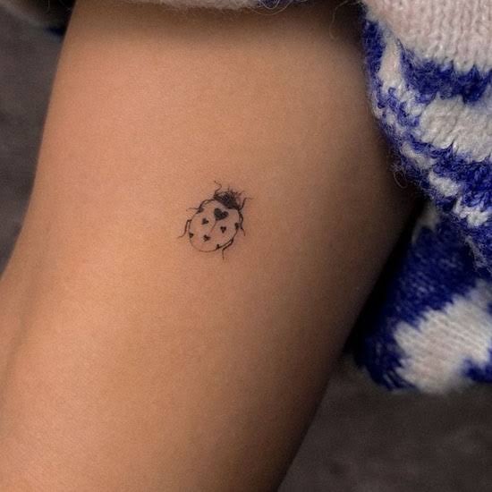 23 Ladybug Tattoos You’ll Absolutely Love